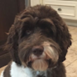 Meet your Posher, Caroline